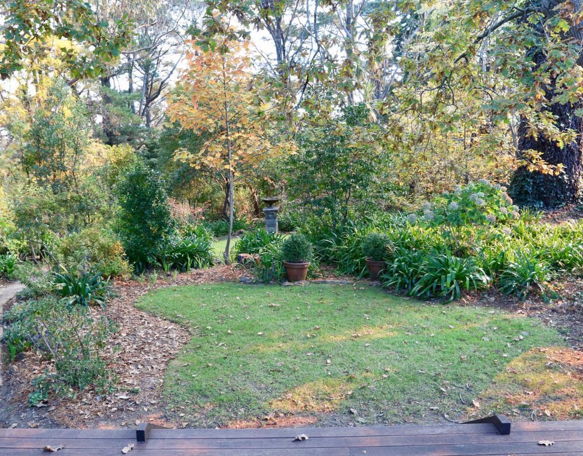 Poet'S Cottage - Fireplace, Close To Treks Wentworth Falls Ngoại thất bức ảnh
